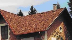 pochemu-stoit-priobresti-bitumnuyu-cherepicu-tegola